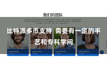 比特派多币支持  需要有一定的手艺和专科学问