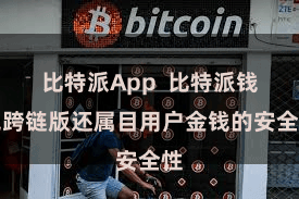 比特派App  比特派钱包跨链版还属目用户金钱的安全性